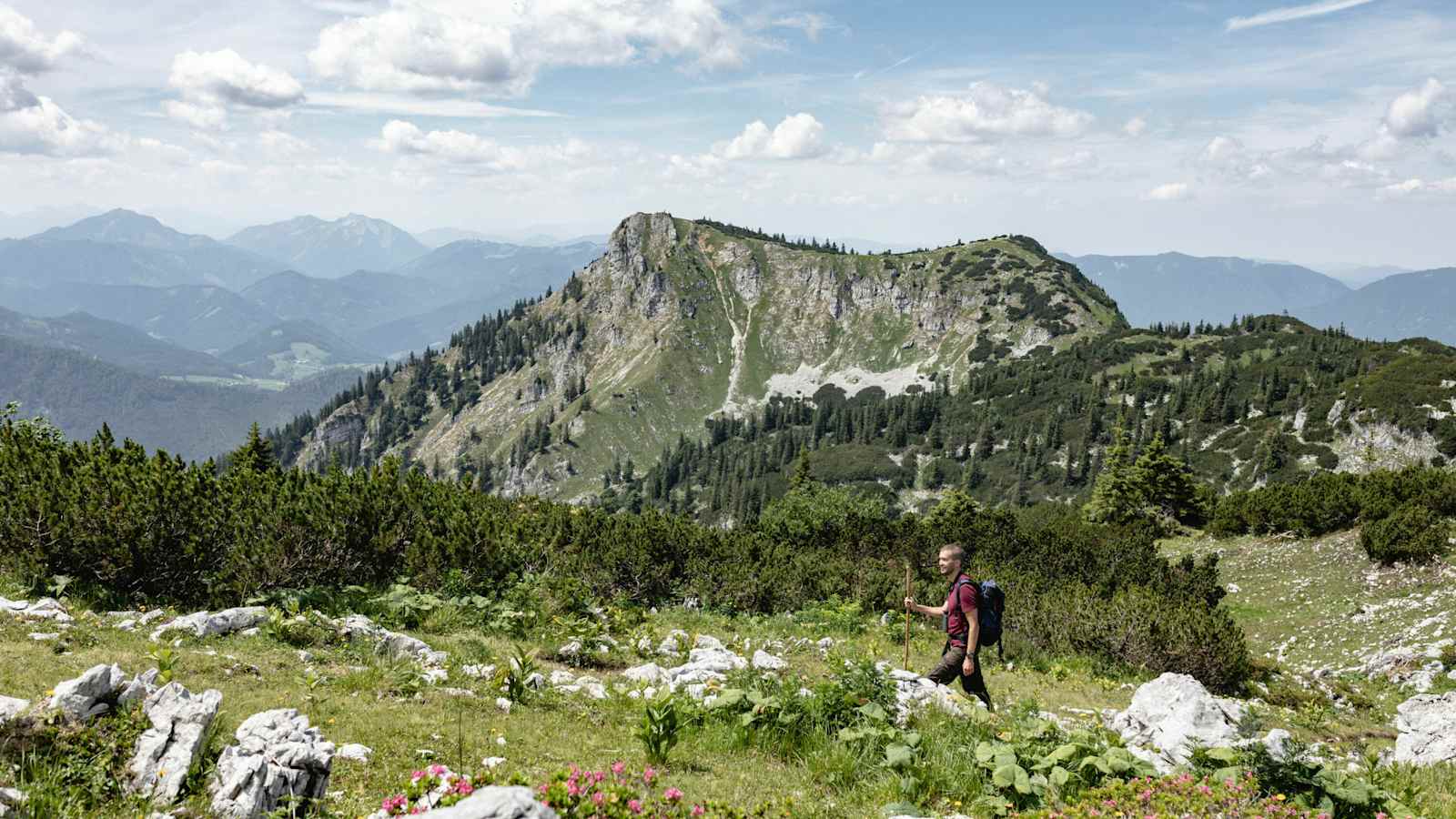 Luchs Trail Nationalpark Kalkalpen