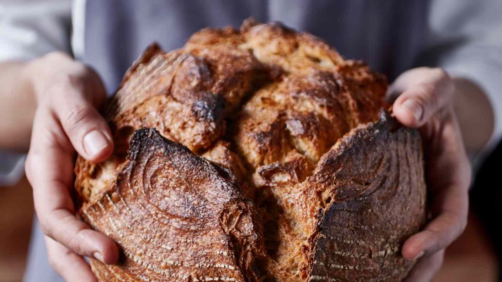 Backe dein eigenes Brot im Rahmen des Brotbackkurses.