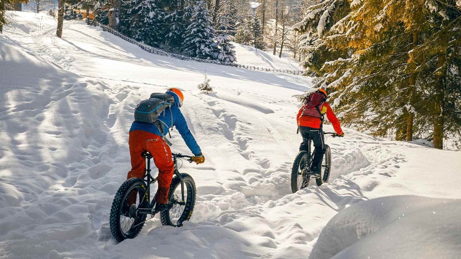 Die Abfahrt mit dem Fatbike durch Wald und Wiesen