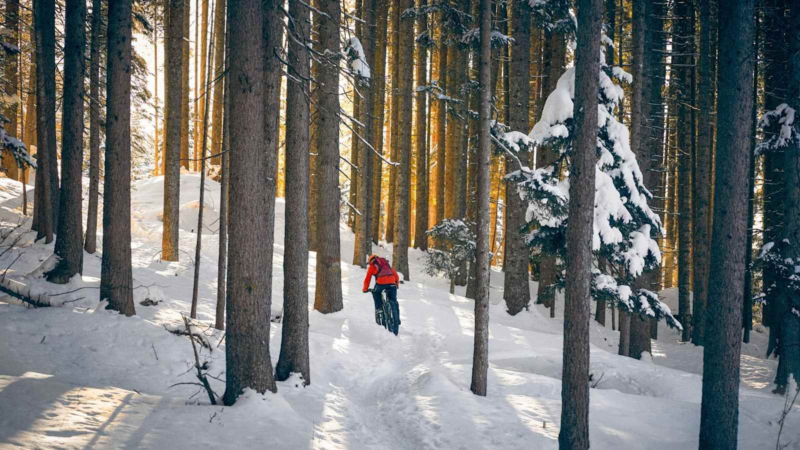 Fatbiken durch den winterlichen Wald