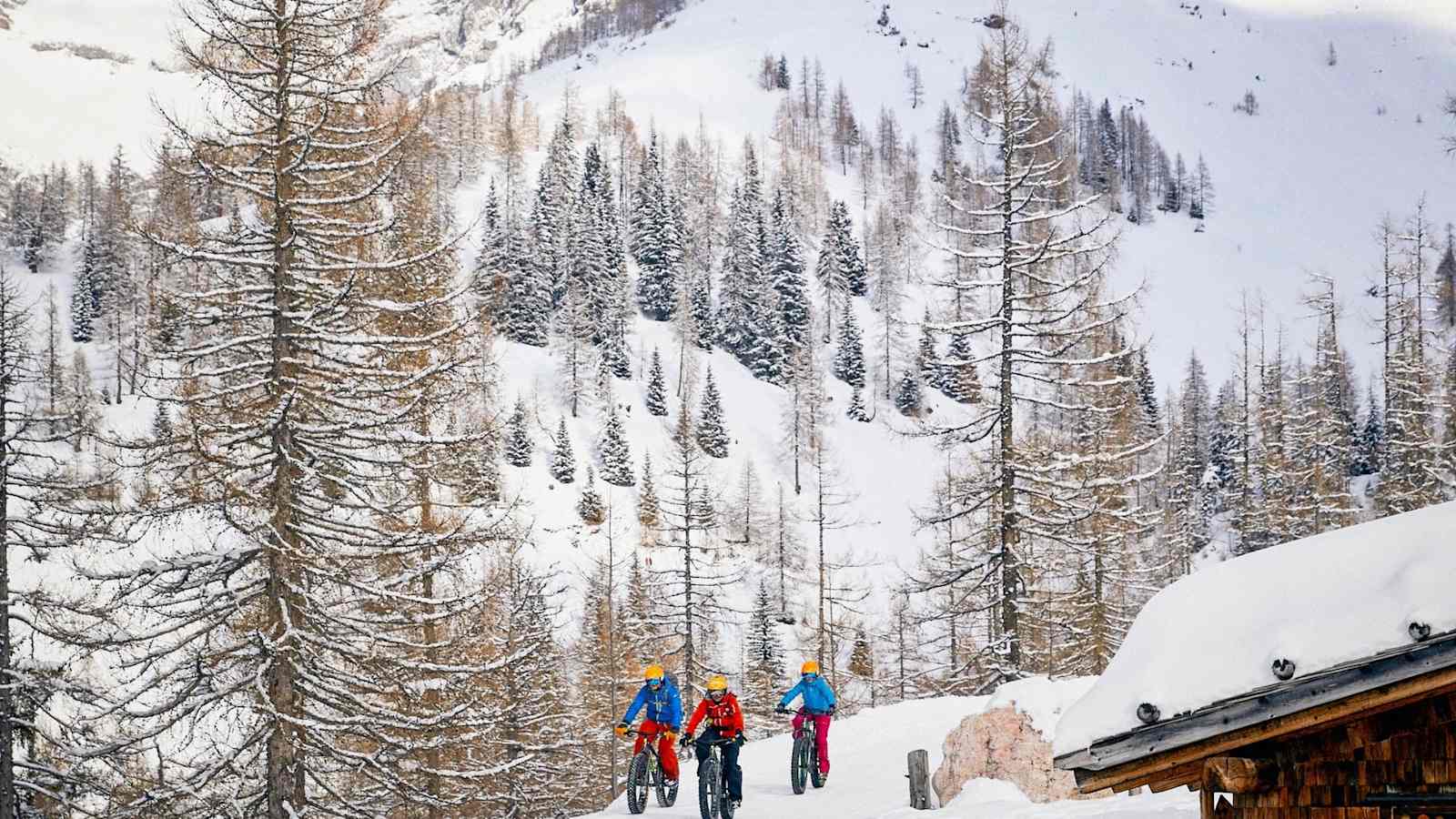 Die Gruppe radelt auf einem präparierten Skiweg