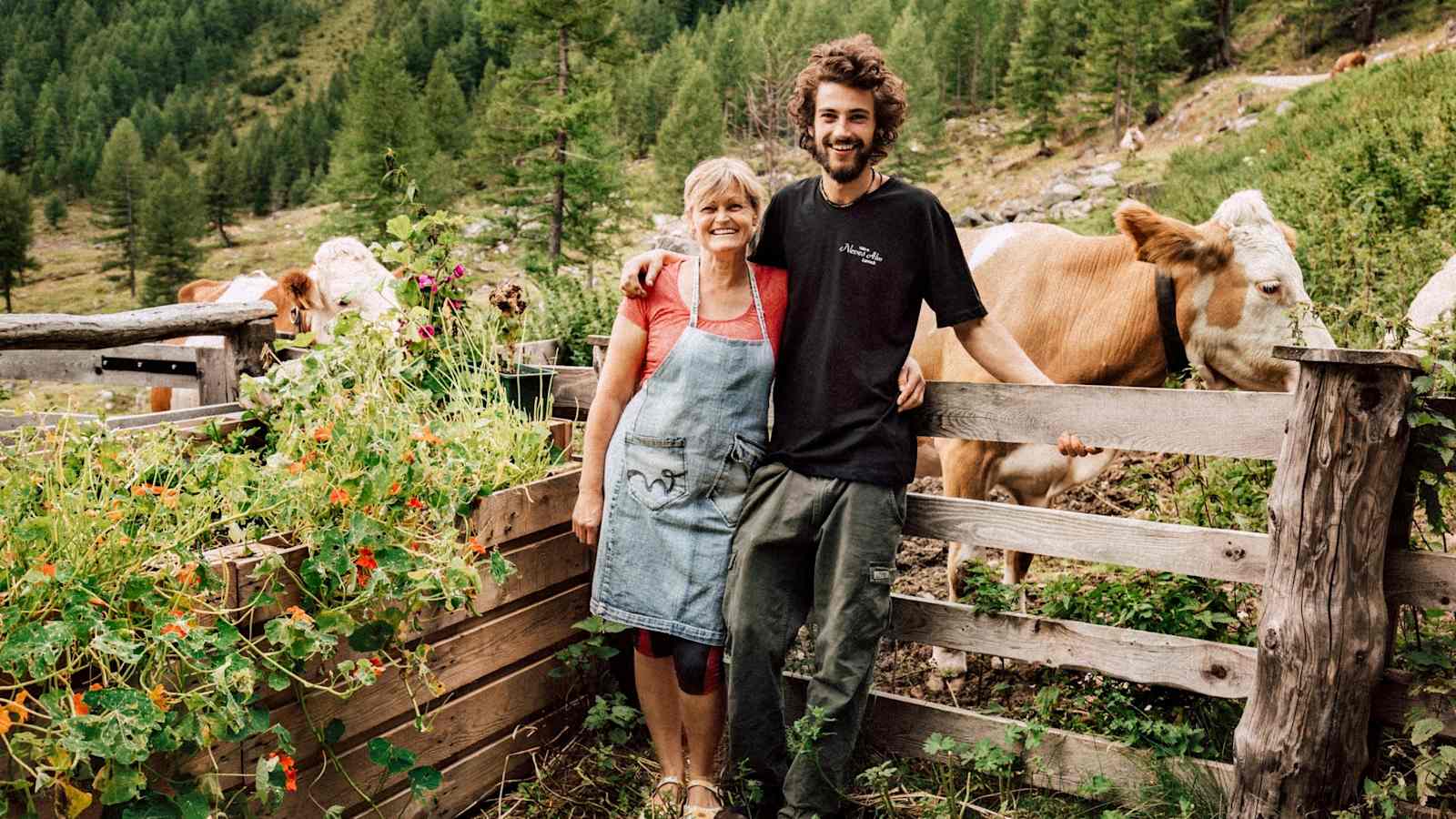 Hüttenbetreiber mit Milchkühen auf der Alm