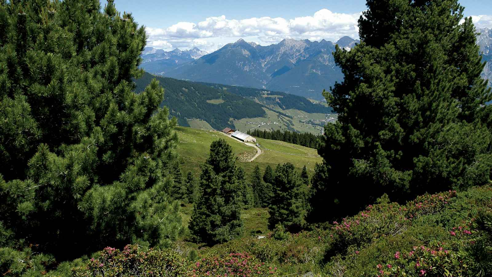 Bergsteigerdorf Sellraintal Fotschertal