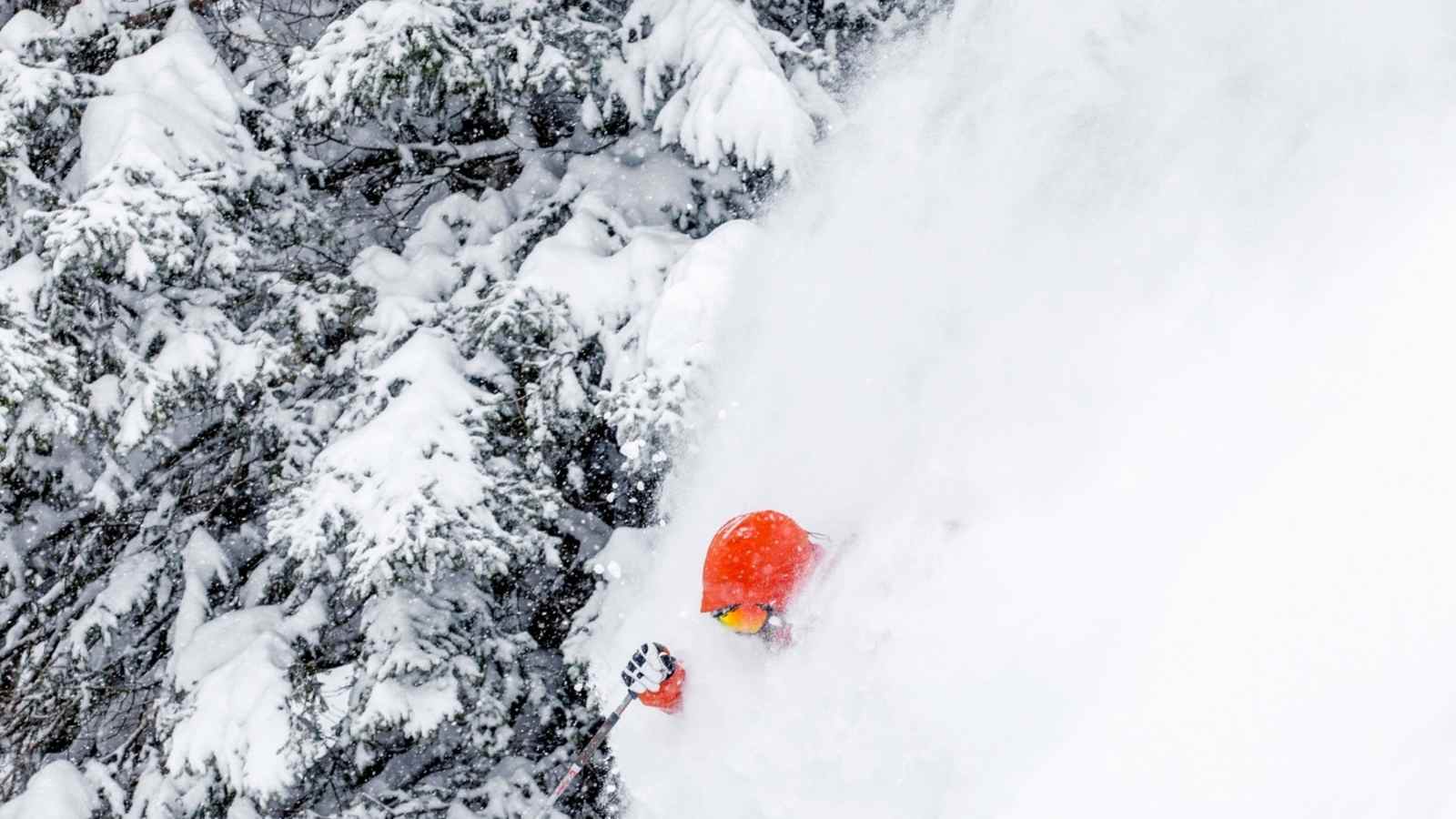 Ein Freerider bedeckt von Schnee.