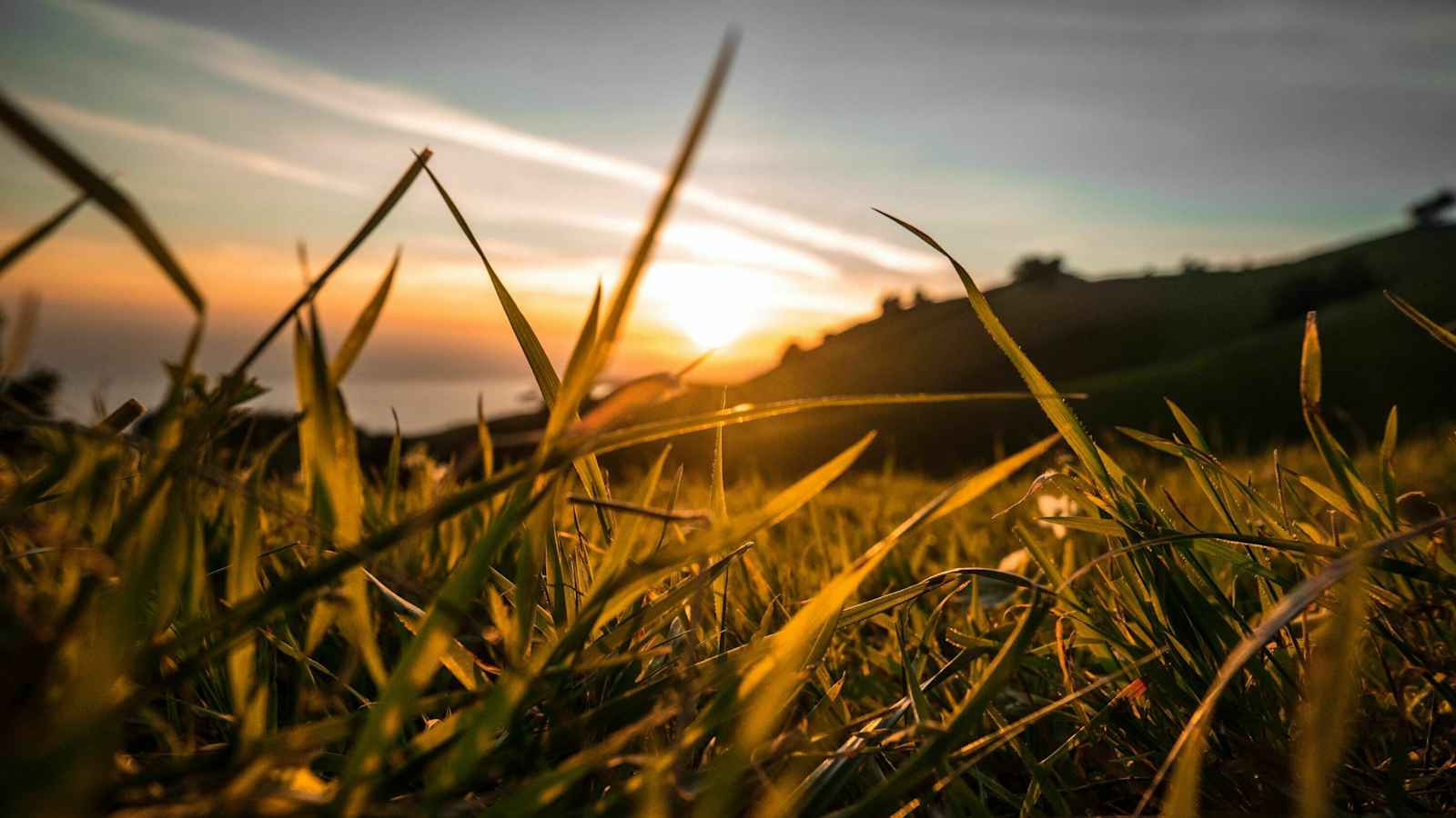 Wann kommt der Frühling?