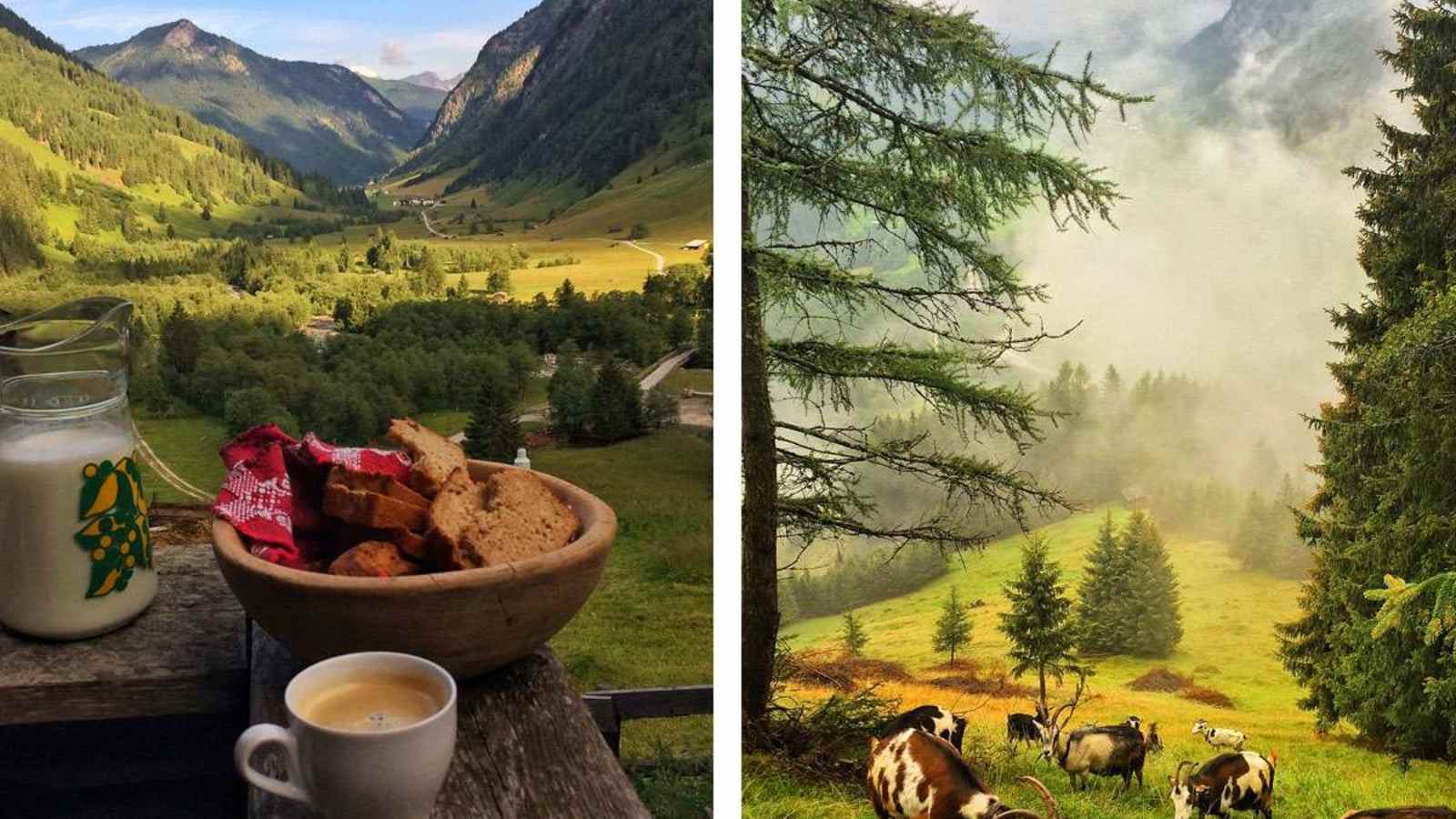 Frühstück auf der Schule der Alm im Valsertal