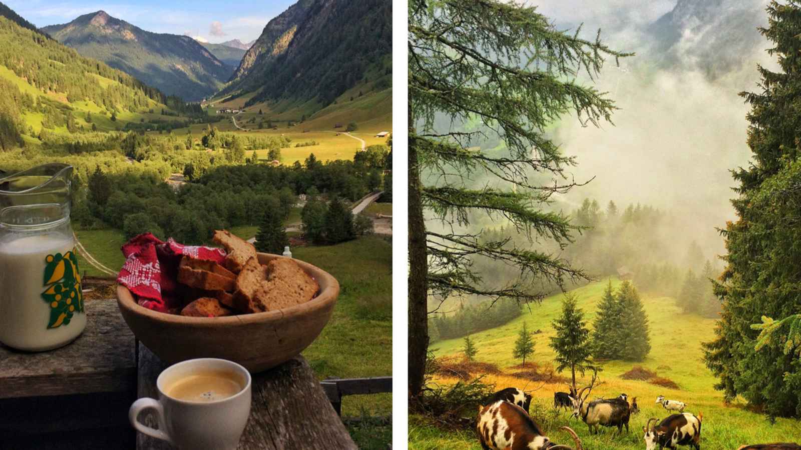 Frühstück auf Helgas Alm