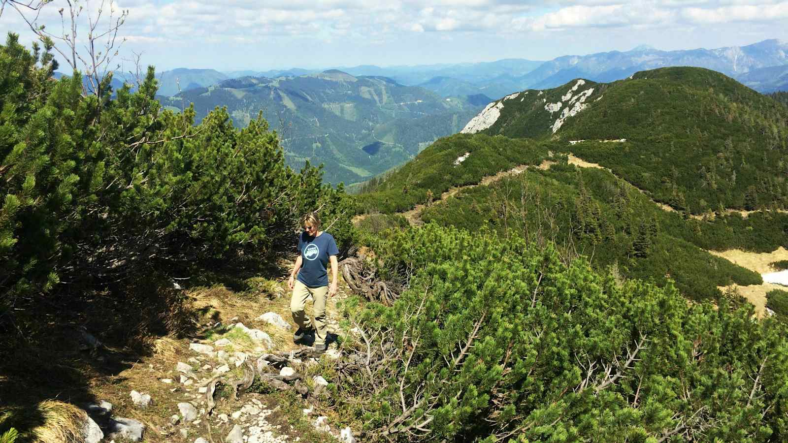 Wandern am Gamsstein: Zum Hochkogel in den Ybbstaler Alpen