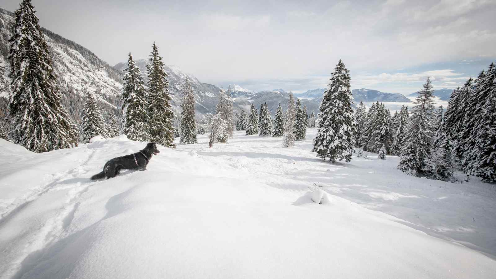 Hochmölbing in der Steiermark