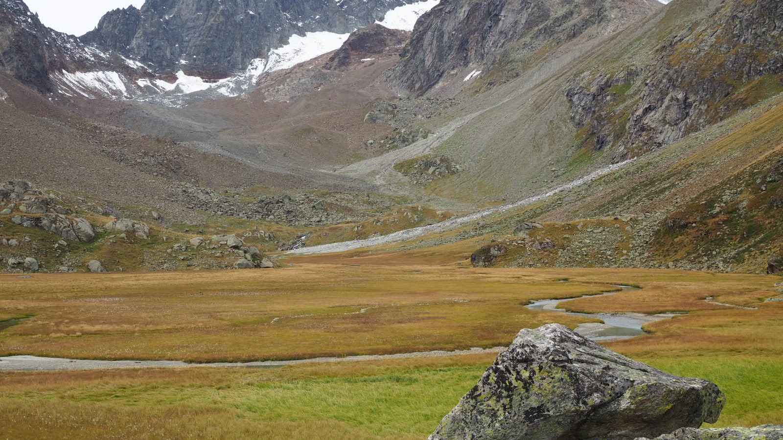 Das unter Naturschutz stehenden Hochmoor Hohes Moos hinter der Hütte.