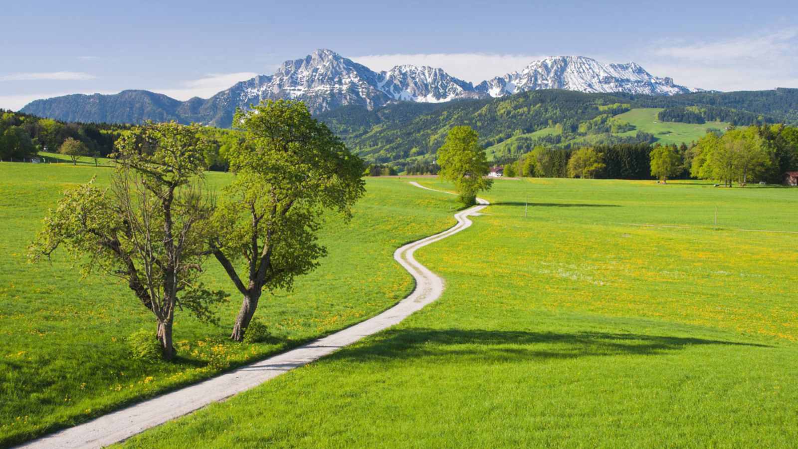 Frühlingshafter Blick von Steinhögl in der Gemeinde Anger zum Hochstaufen, Berchtesgadener Land, Bayern