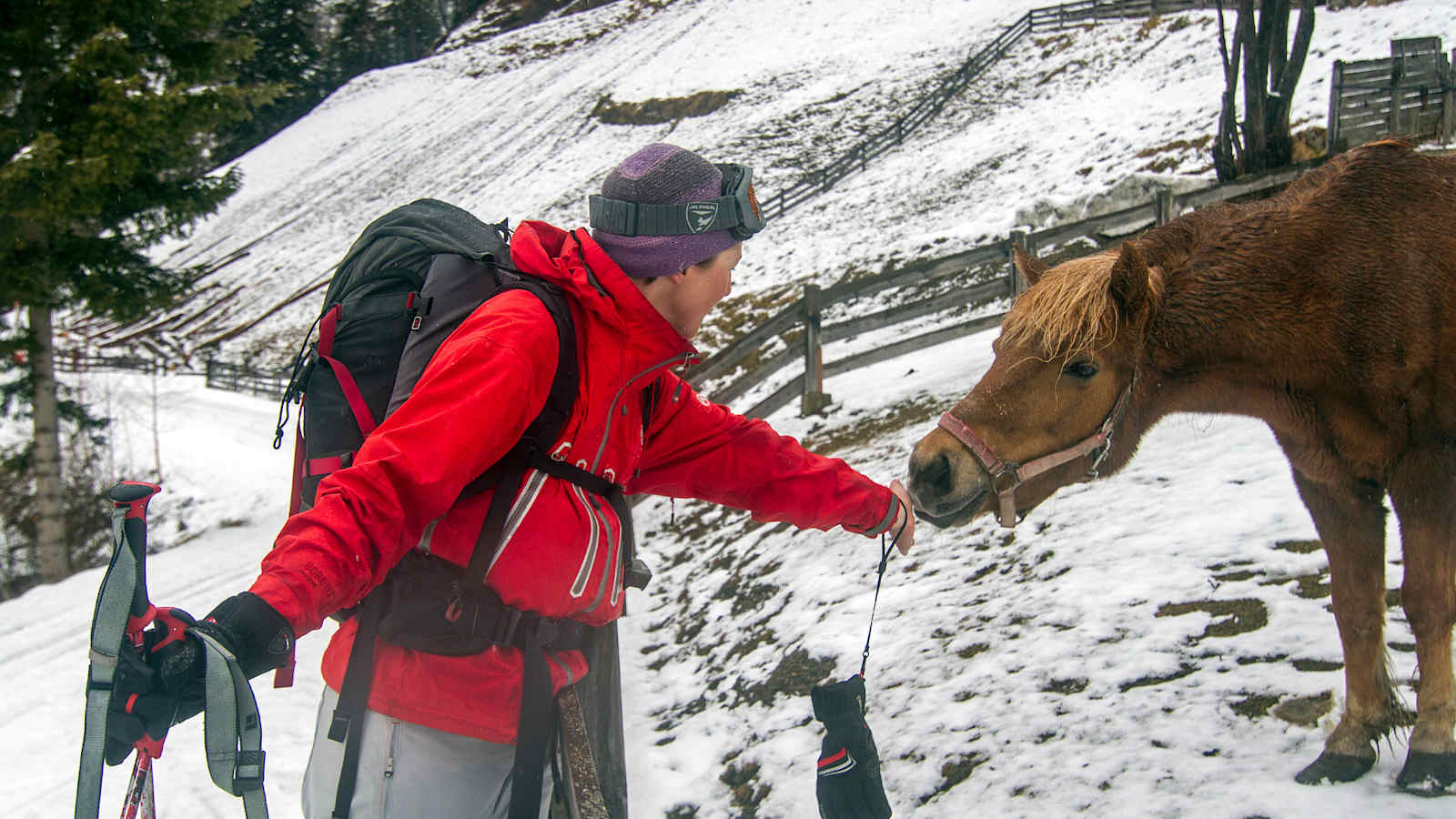 Eva und ein Pferd.