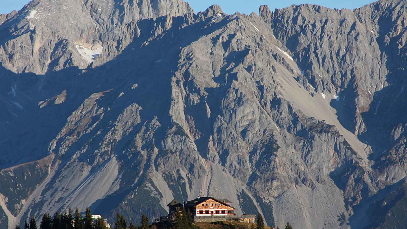 Zirben-Ernte: Hier gibt es den besten Zirbenschnaps