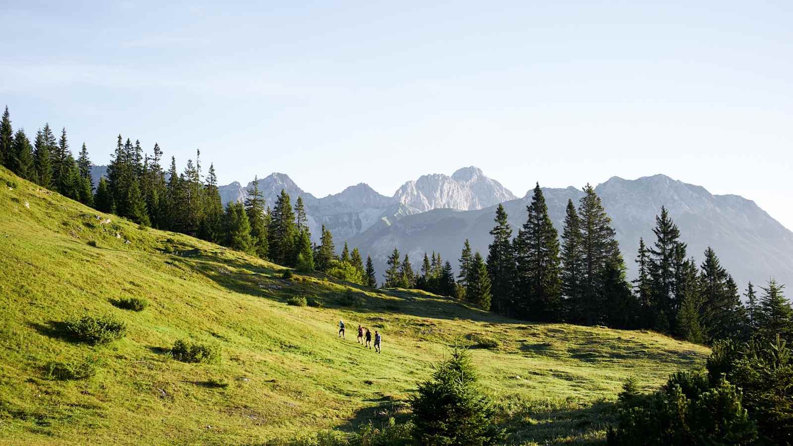 Wunderschönes sonniges Bergpanorama.