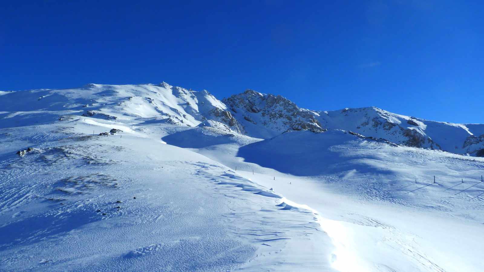 Hinter Graten und Kuppen verbergen sich gerne Schneehühner, die sich einschneien lassen und auf ihr weißes Federkleid vertrauen.