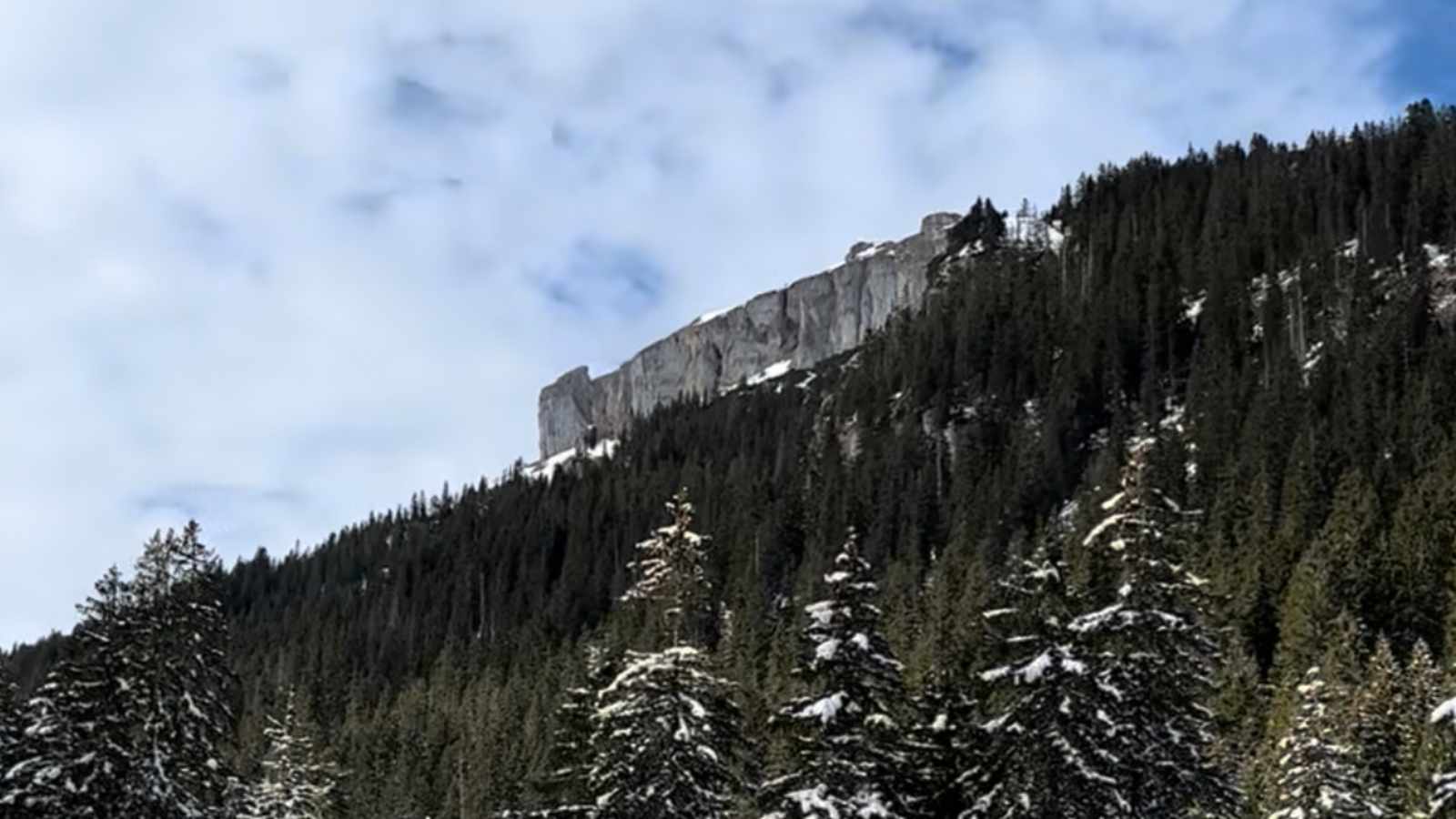 Blick auf die Südwand des Hohen Ifens vom Schwarzwassertal 