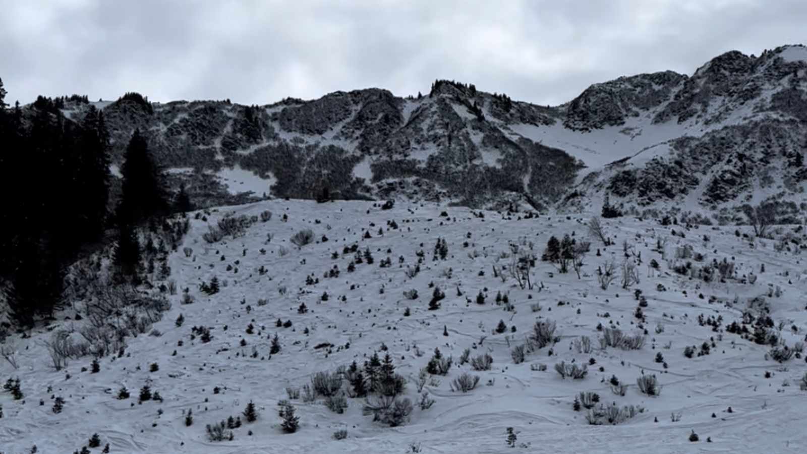 verschneiter Flyschhang vom Schwarzwassertal aus 