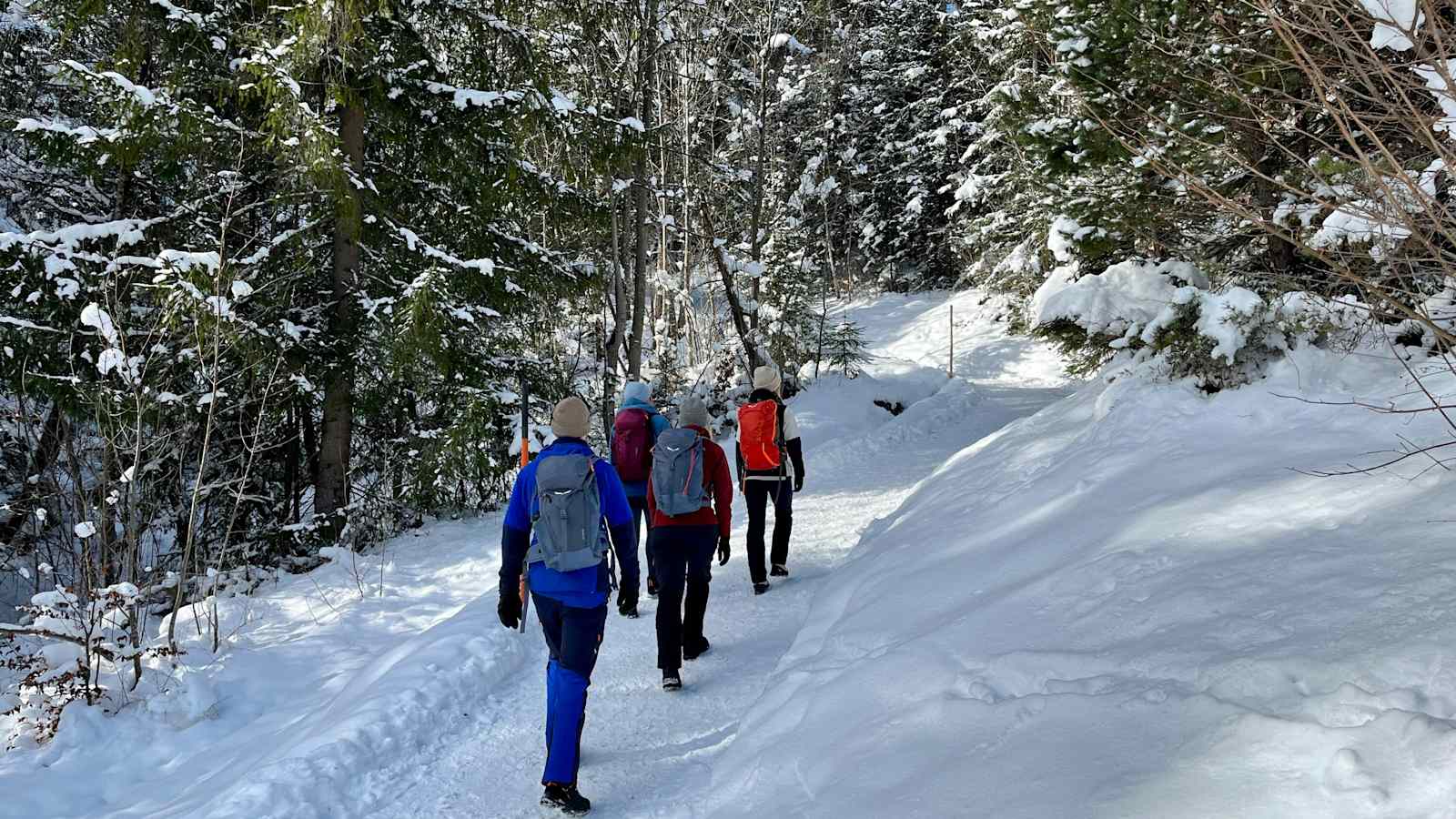 Winterwanderer am Kranzberg in Bayern