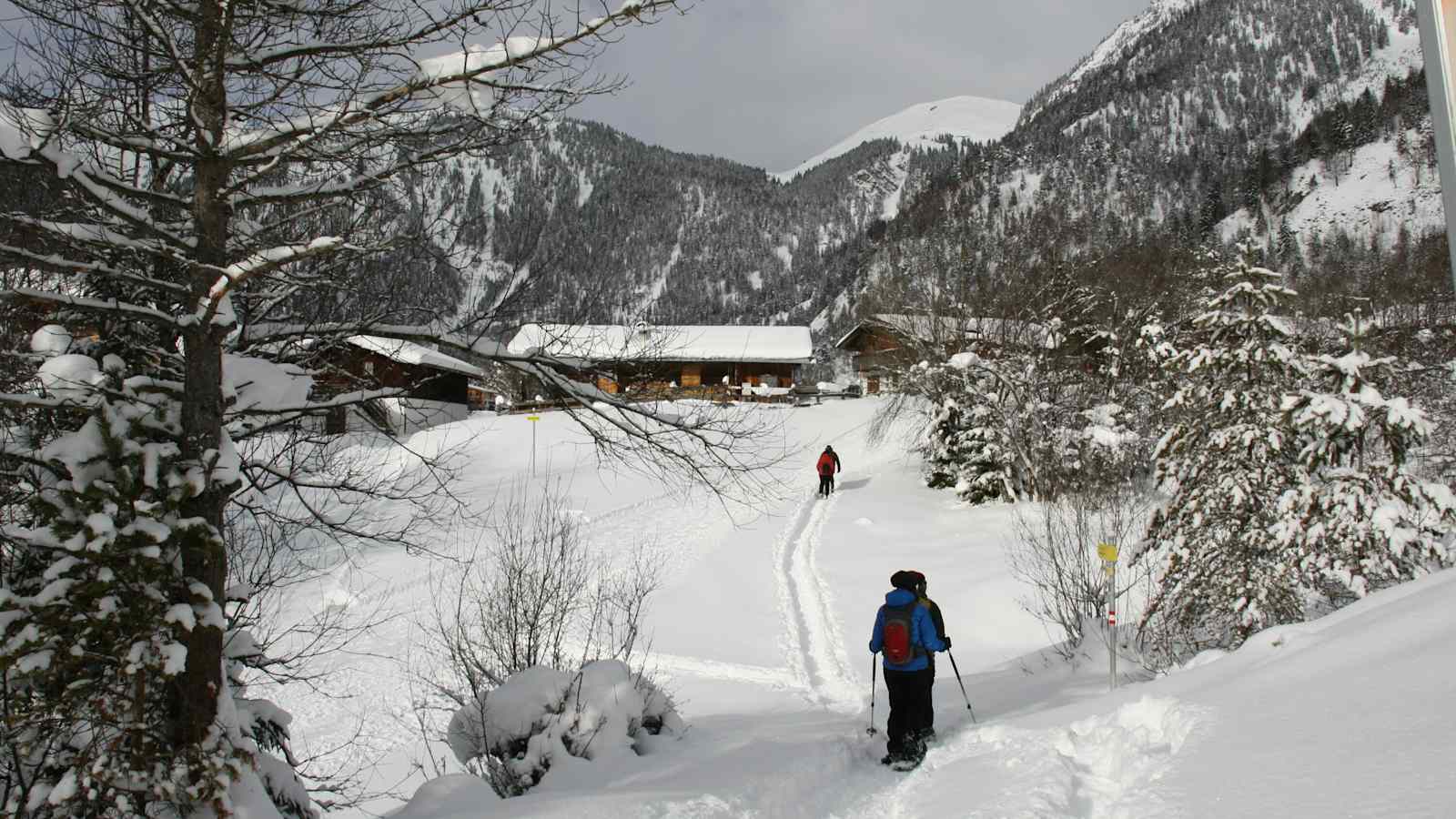 Schneeschuhwandern