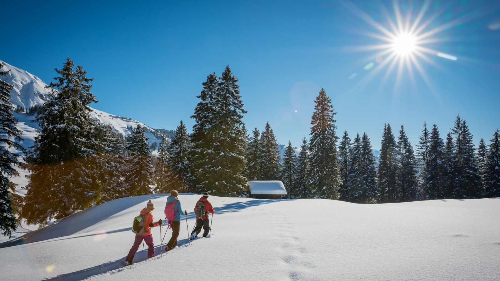 Schneeschuhlaufen über die Lombachalp