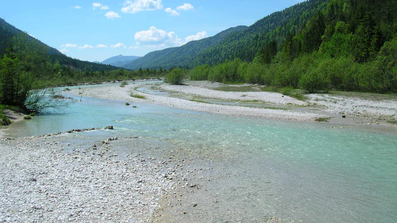 Die Isar - ein echter Wildfluss