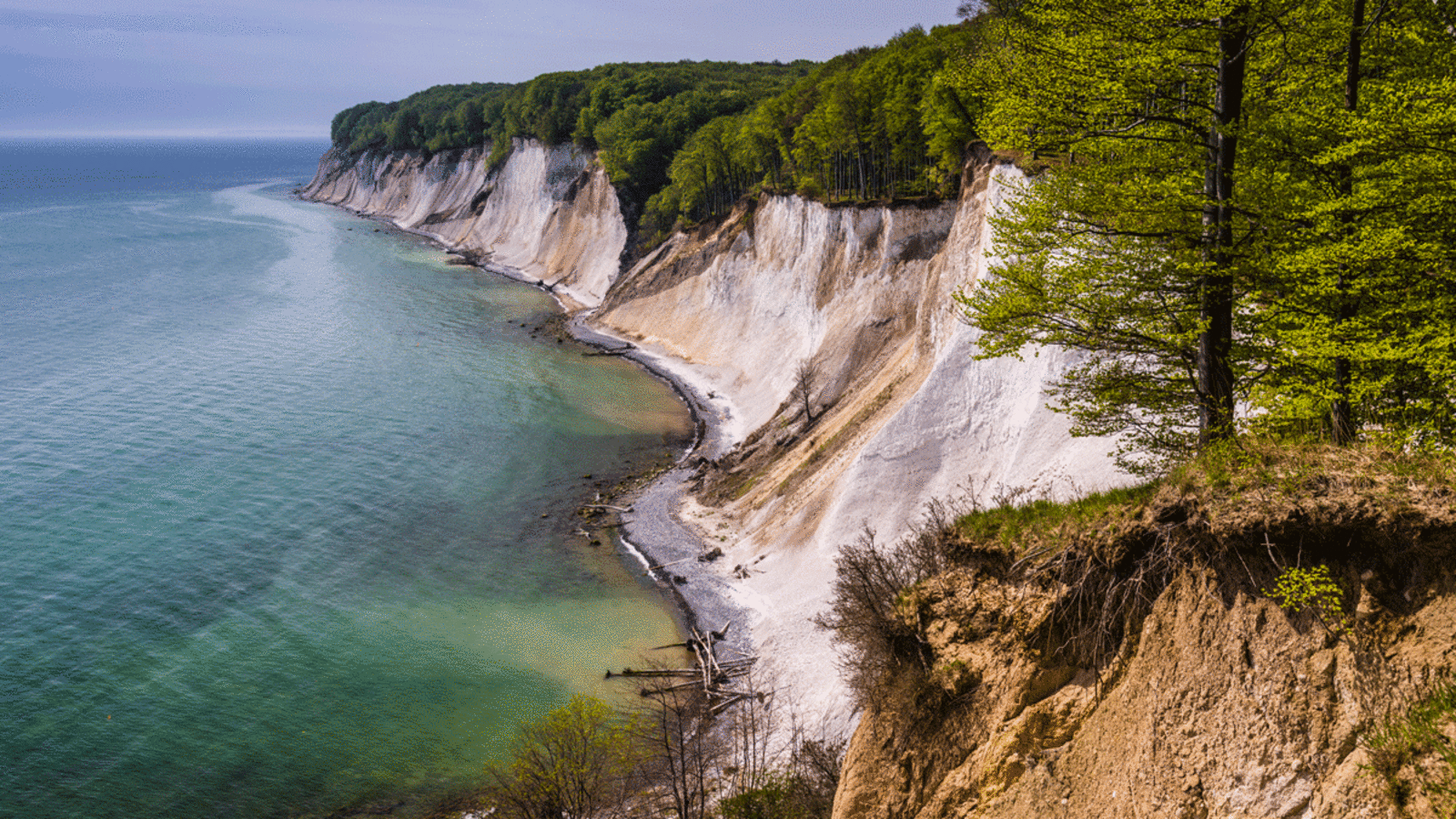 Die imposanten Steilwände an der Kreideküste auf der Insel Rügen