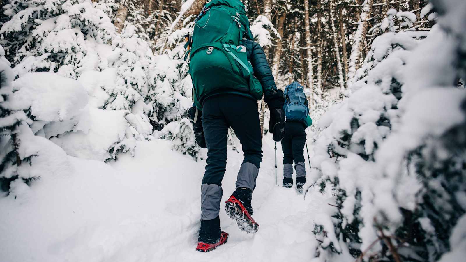 Wanderung durch Schnee