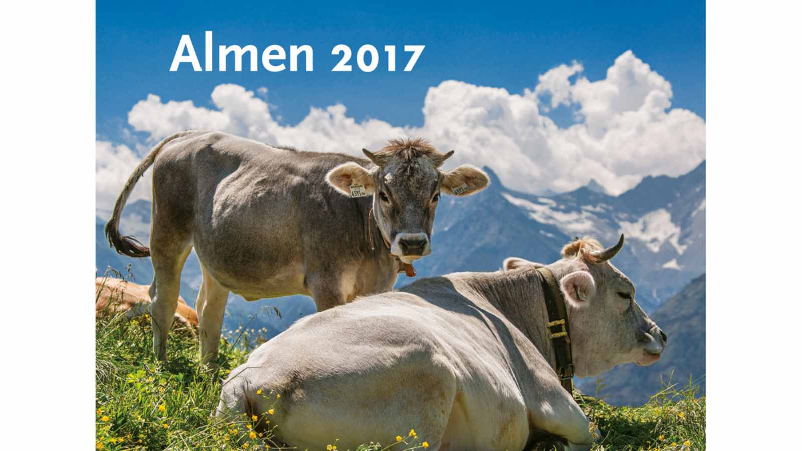 Kalender 2017: Almen (Tyrolia)