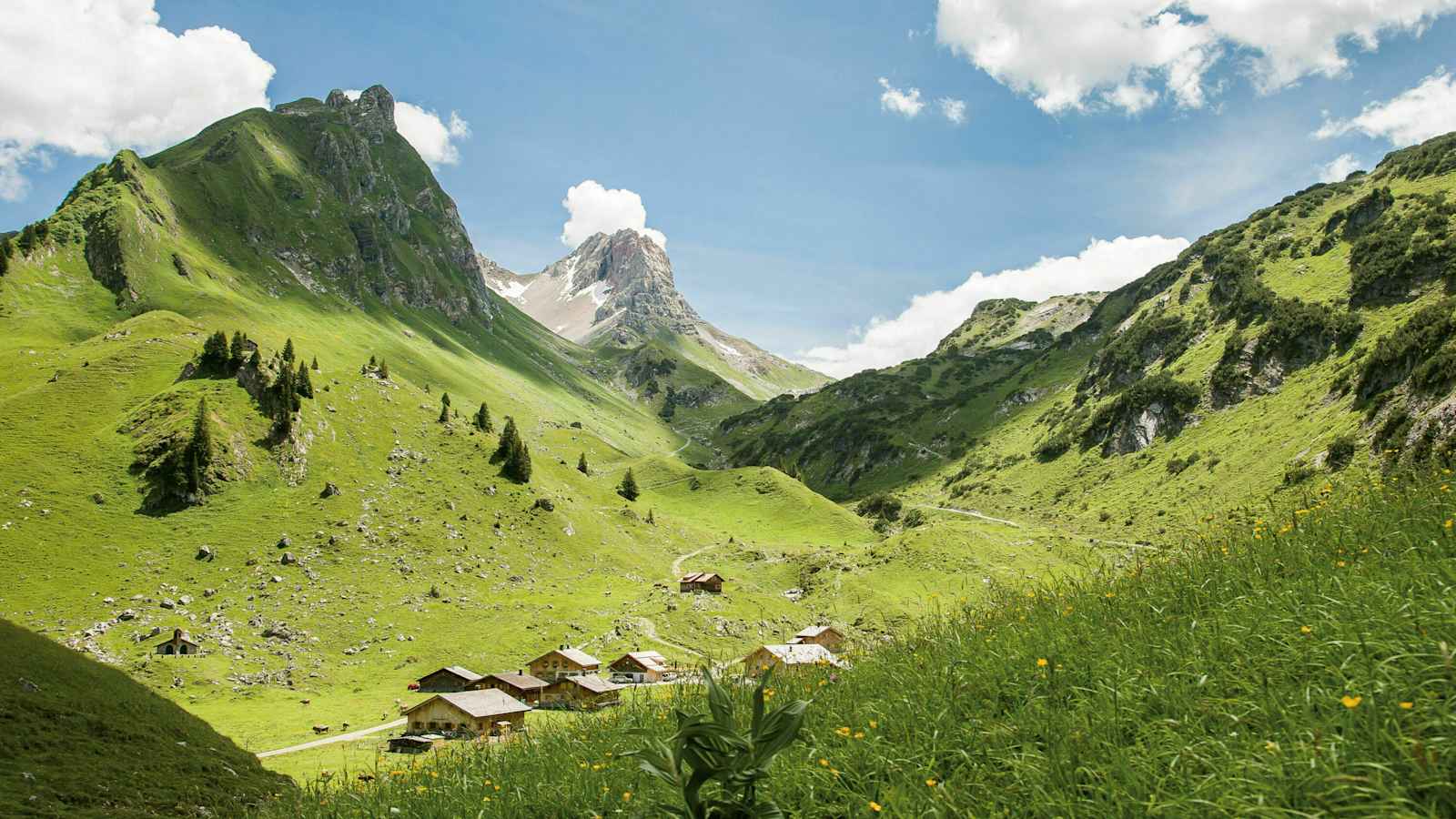 Alpe Laguz im Großen Walsertal