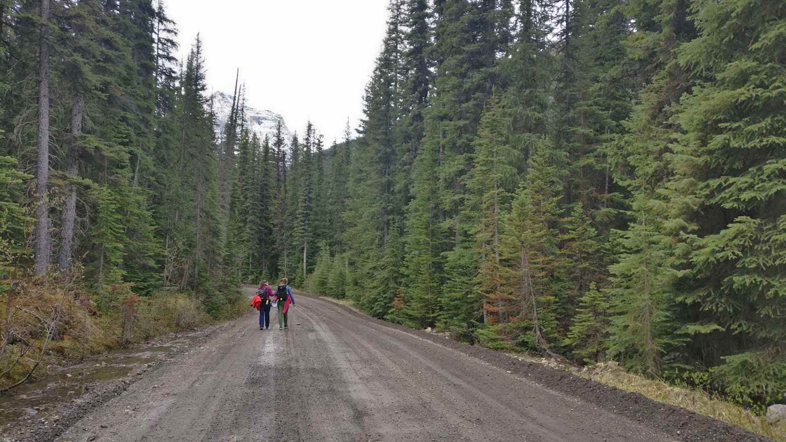 Lake O'Hara