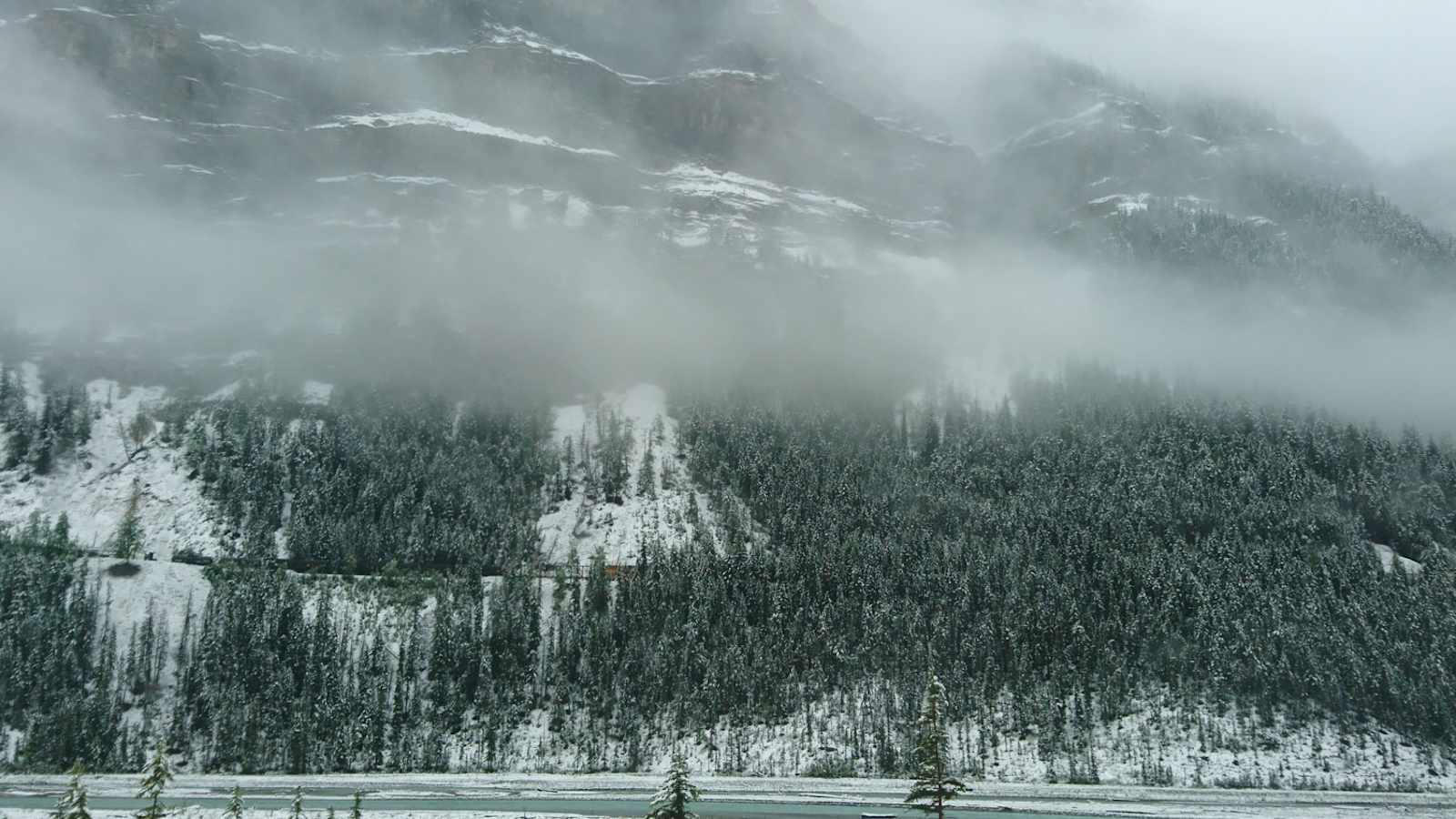 Kicking Horse River 