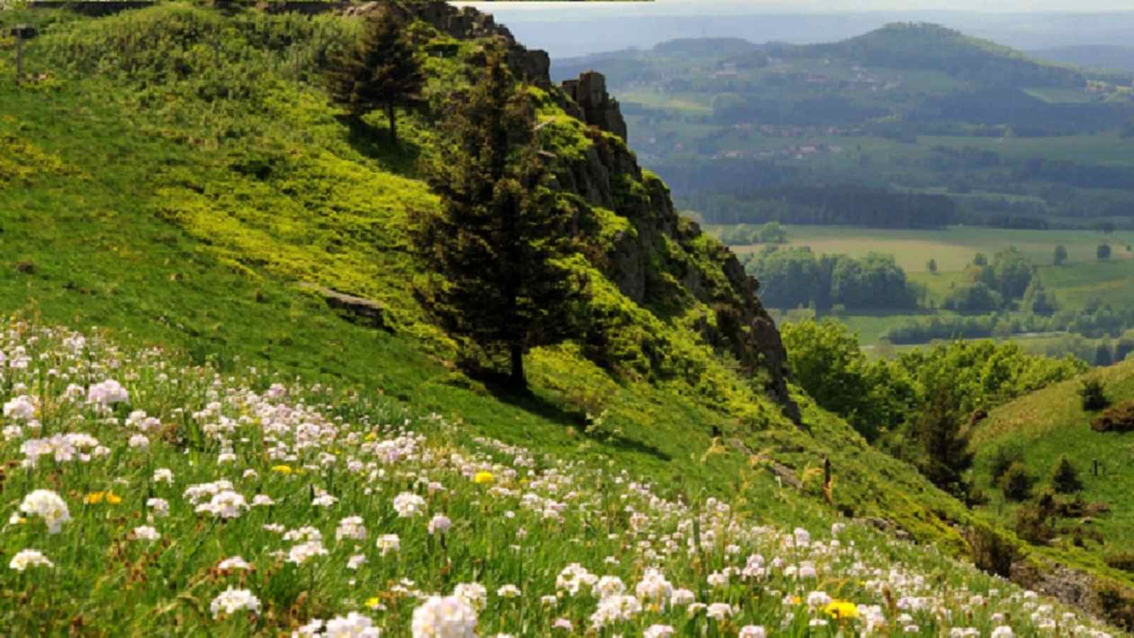 Wandern im Naturpark Bayerische Rhön