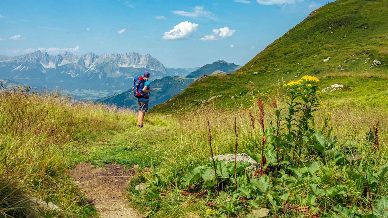 Wandern mit Blick auf den Wilden Kaiser