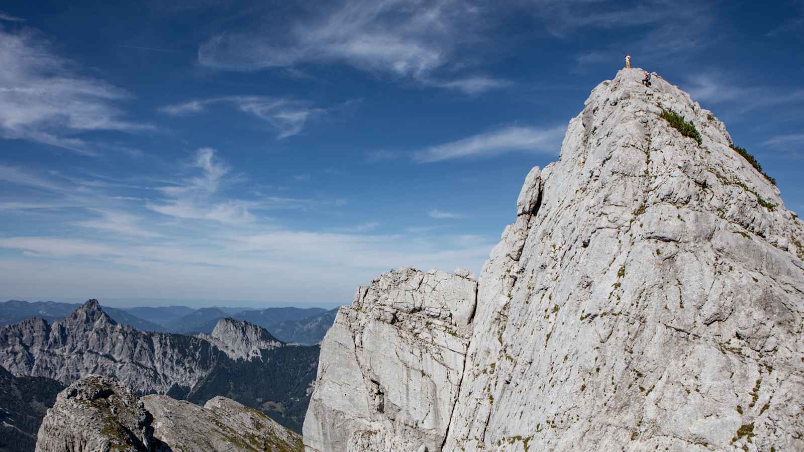 Der Gipfel der Roßkuppe.