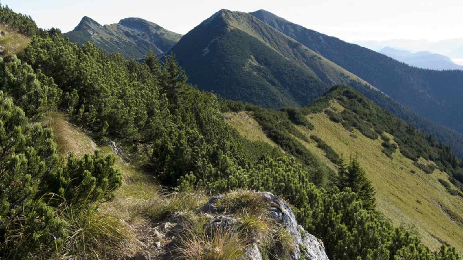 Krottenkopf und Hoher Fricken