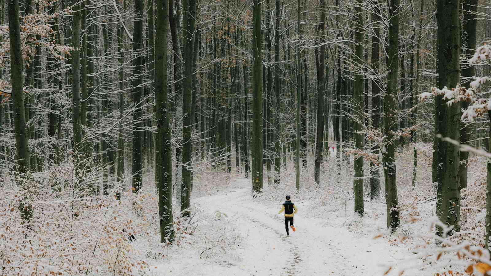 Training, hohe Berge