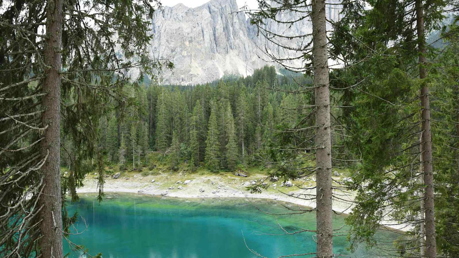 3D-Kartenausschnitt des Latemar Höhenweg in den Dolomiten