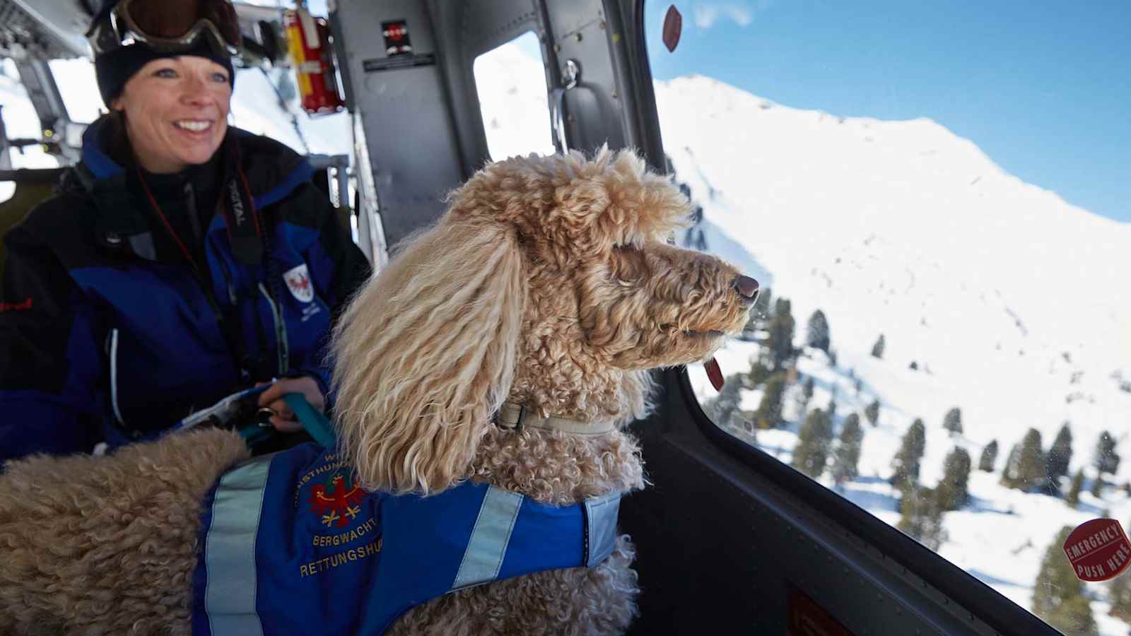 Bergretter und Suchhund im Hubschrauber