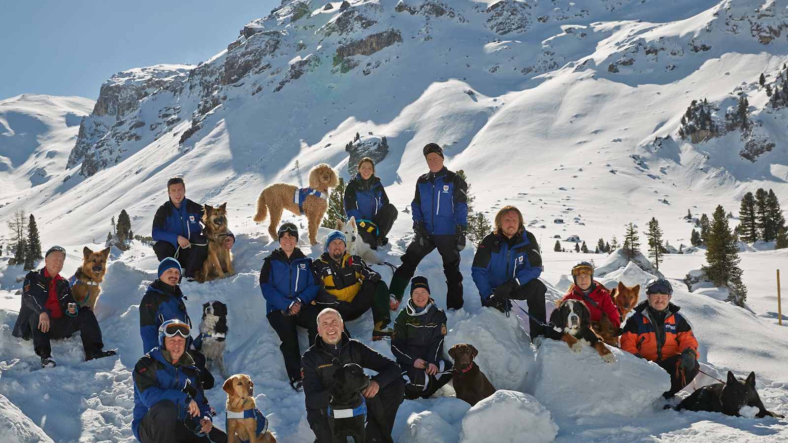 Ein Gruppenfoto mit allen Teilnehmern und Hunden