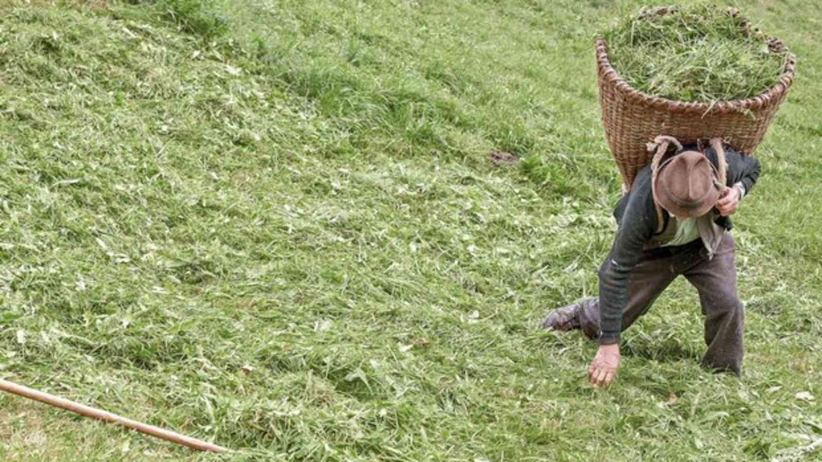 Lebensspuren eines Bergbauern: Von Demut und Genügsamkeit