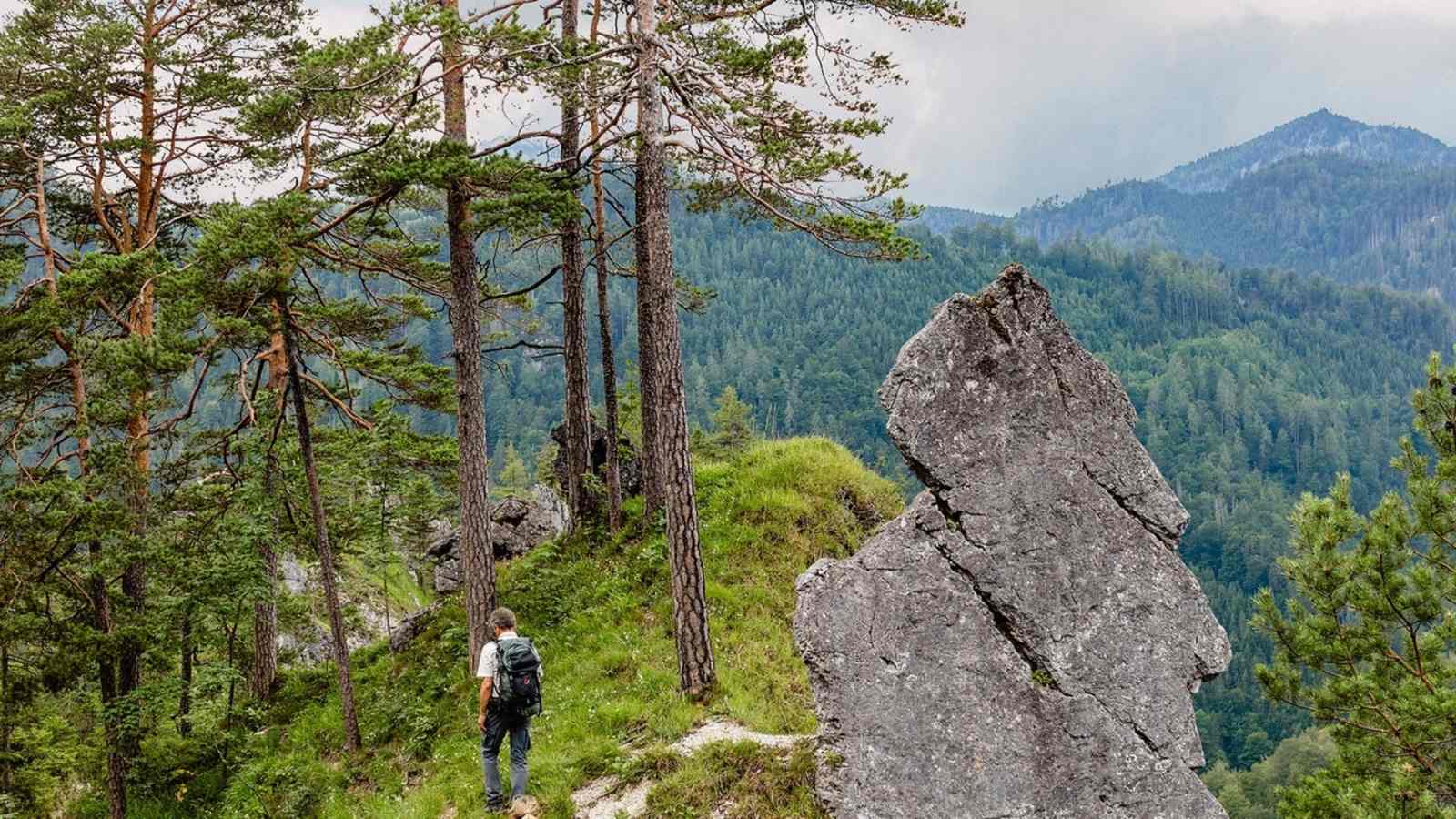 Bergsteiger beim Abstieg über den Triftsteig.