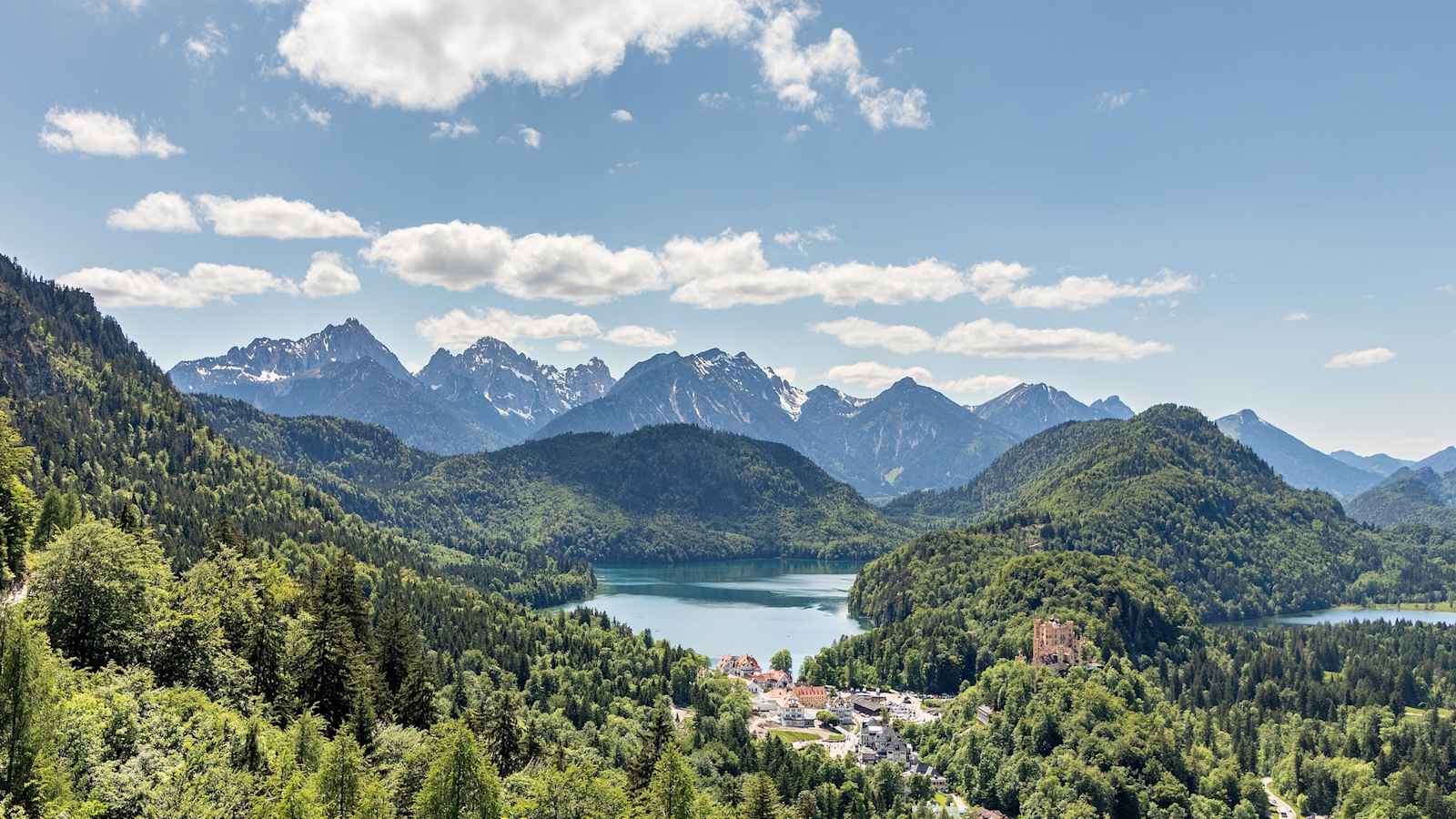 Ausblick zum Alpsee