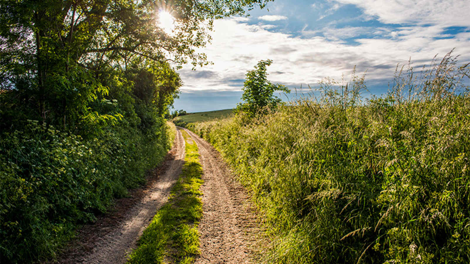 Der Märkische Landweg