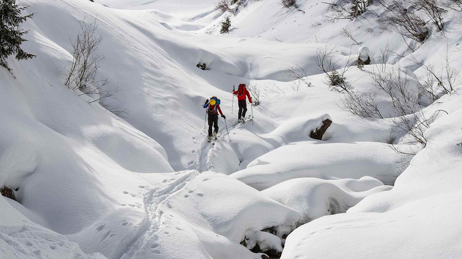 Skitour am Wildalmbach bei Kitzbühel