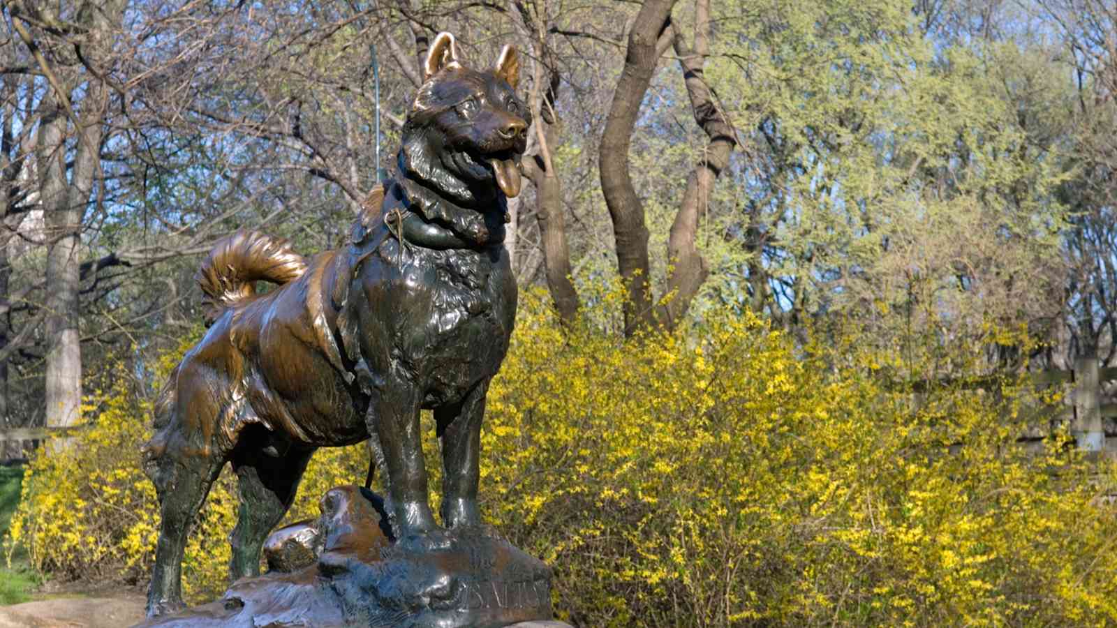 Balto-Denkmal im New Yorker Central Park