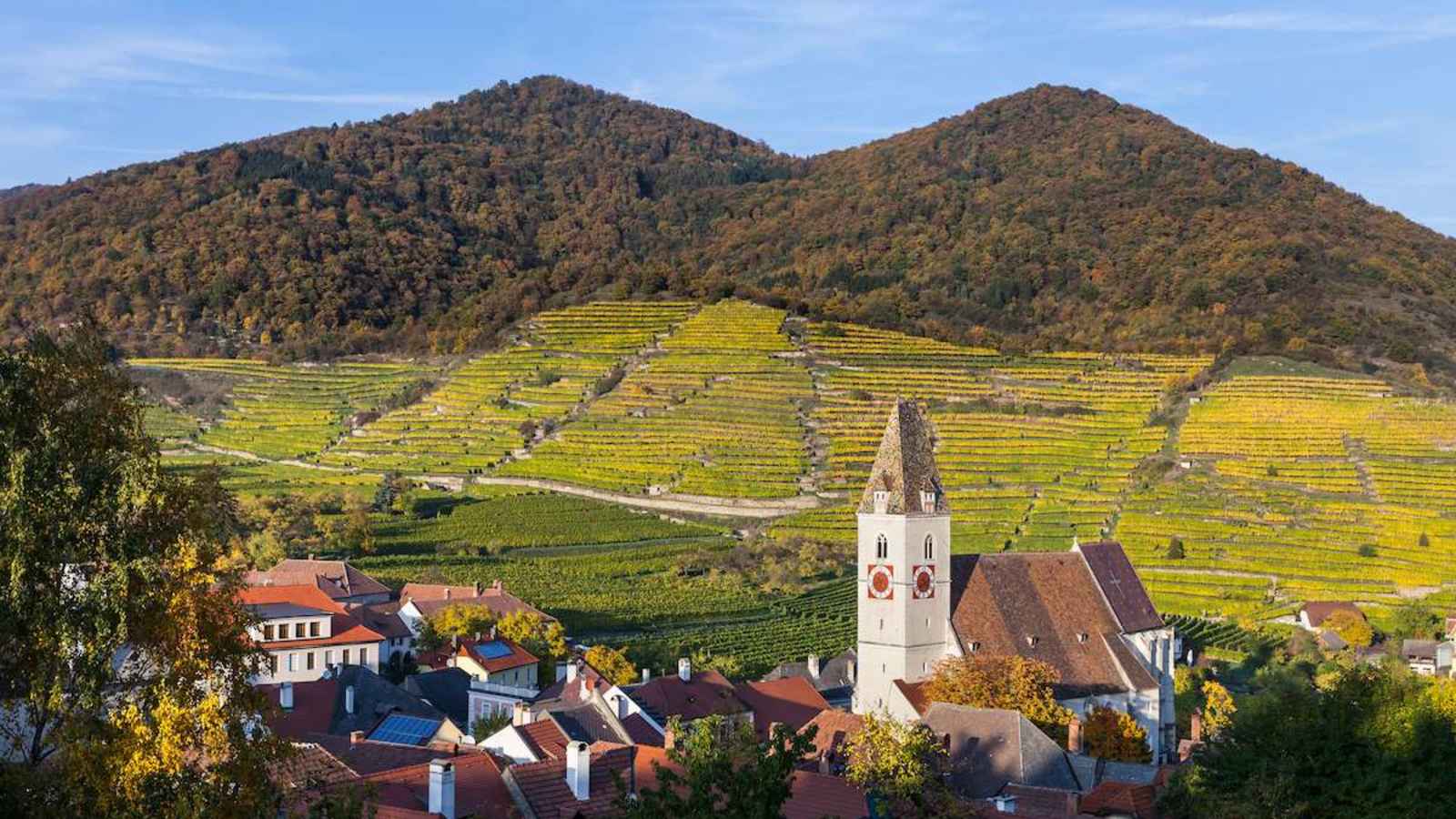 Der malerische Ort Spitz an der Donau inmitten der Wachau 