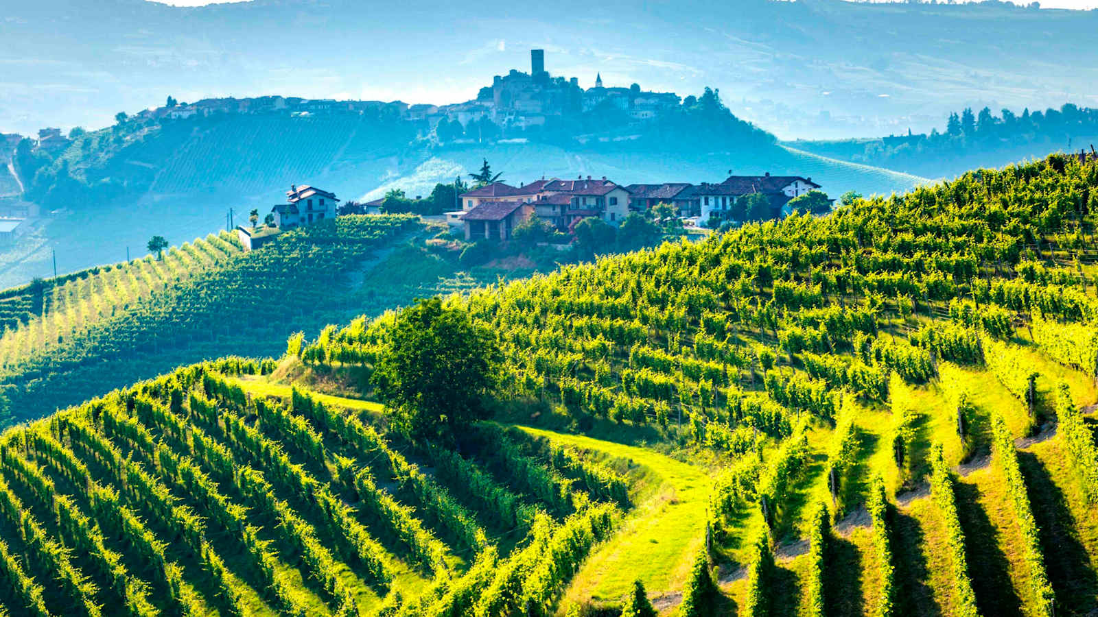 Piemont, Barolo Wein Region