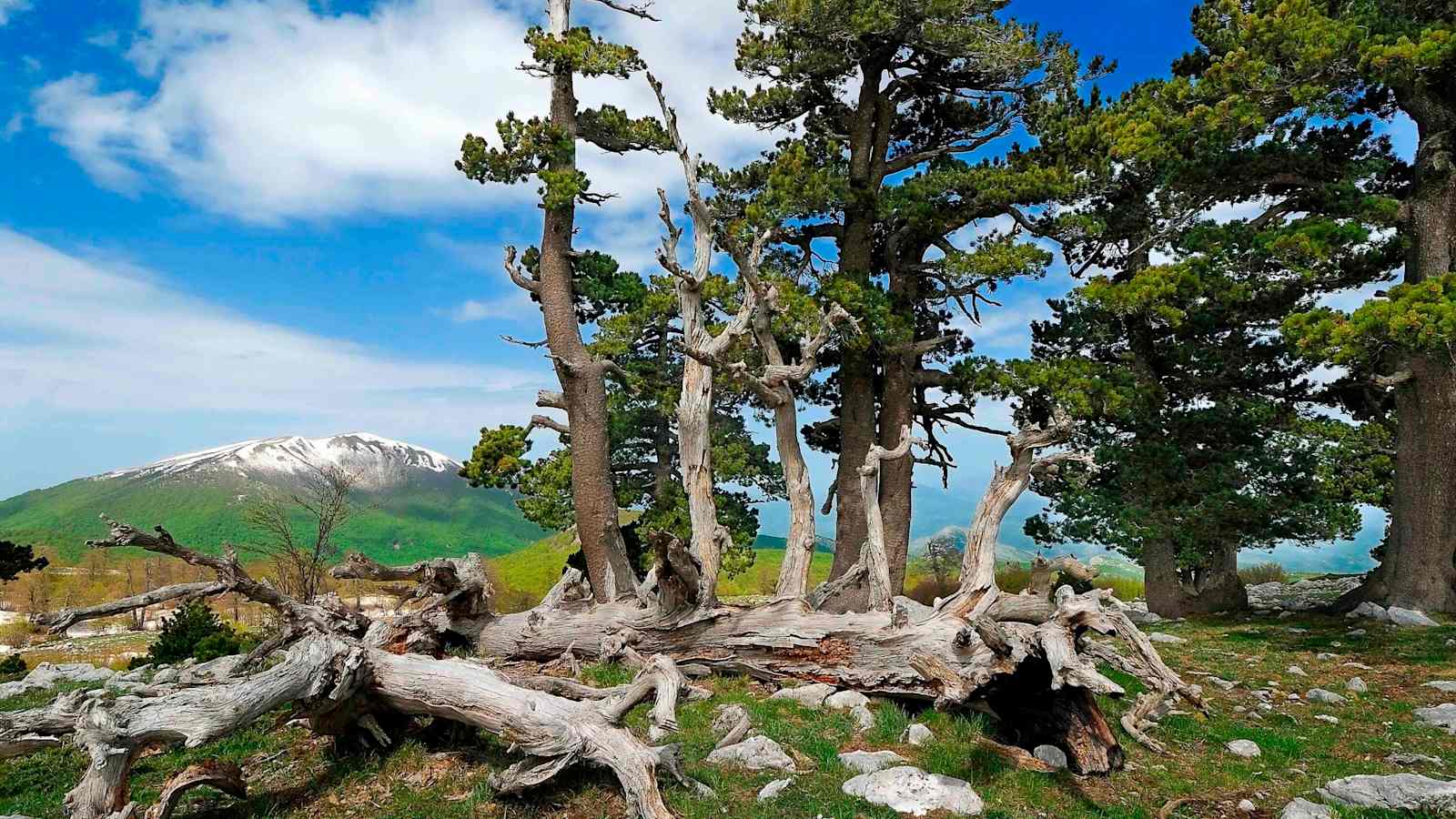 Nationalpark Pollino