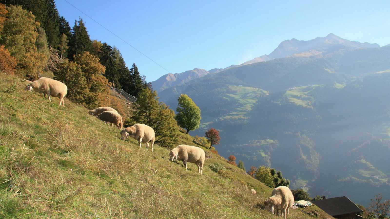 Höhenwege in Südtirol: 7 Tourentipps