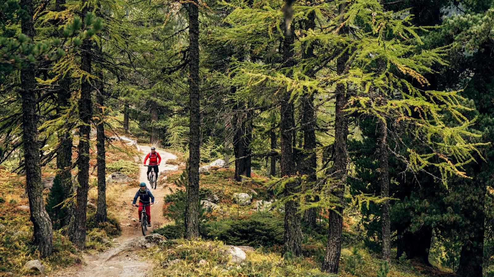 Mountainbiker fahren durch den Wald.